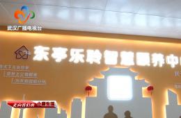 中宣部采访团到访武汉东亭社区威客电竞智慧保养中心